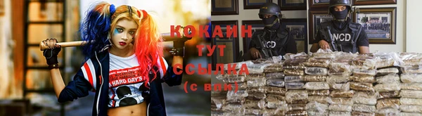 mdpv Бородино