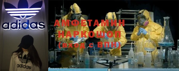 mdpv Бородино