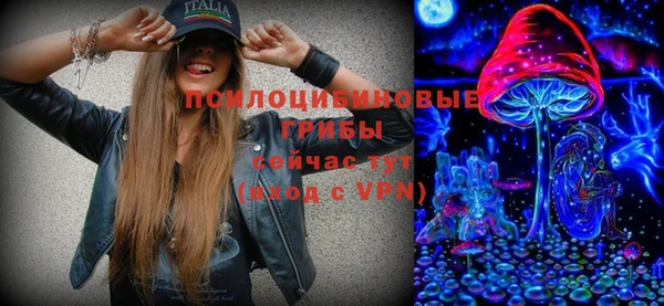 mdpv Бородино