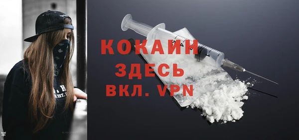 mdpv Бородино