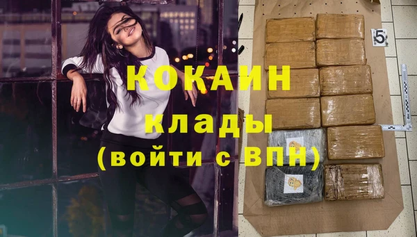 mdpv Бородино