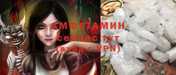 mdpv Бородино